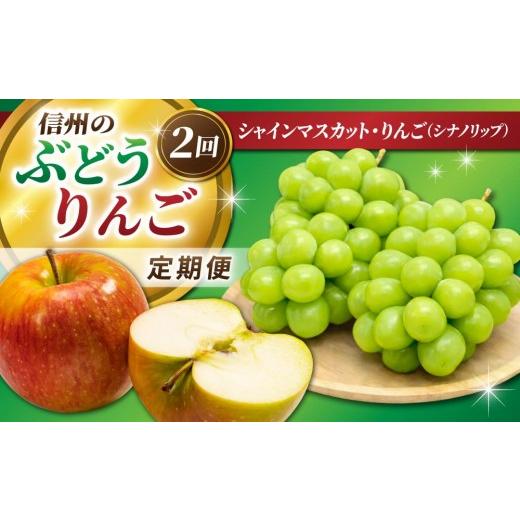 ふるさと納税 ぶどう マスカット 長野県 東御市 信州のぶどう・りんご2回定期便(シナノリップ・シャインマスカット)|JA信州うえだ農業協同組合 長野県 東御…