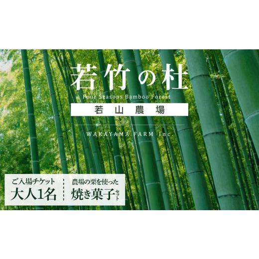 ふるさと納税 入場券・優待券 栃木県 宇都宮市 若竹の杜 若山農場 ご入場チケット(大人1枚)&農場の栗を使った焼き菓子セット
