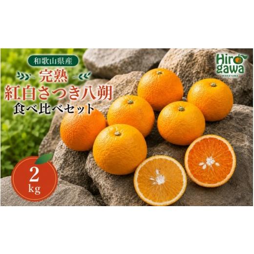ふるさと納税 みかん・柑橘類 和歌山県 広川町 完熟 紅白 さつき 八朔 食べ比べ セット 2kg 6000円 久幸園 / 紅八朔 さつき八朔 はっさく 樹上完熟 完熟 木成…