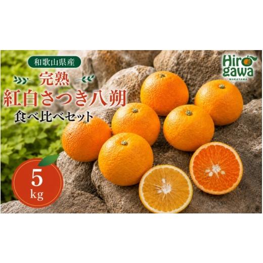 ふるさと納税 みかん・柑橘類 和歌山県 広川町 完熟 紅白 さつき 八朔 食べ比べ セット 5kg 10000円 久幸園 / 紅八朔 さつき八朔 はっさく 樹上完熟 完熟 木…