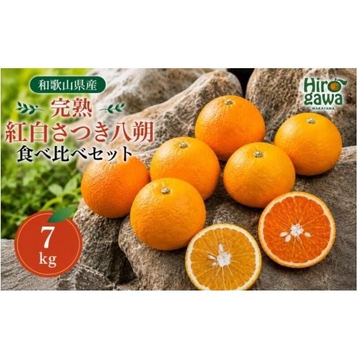 ふるさと納税 みかん・柑橘類 和歌山県 広川町 完熟 紅白 さつき 八朔 食べ比べ セット 7kg 13000円 久幸園 / 紅八朔 さつき八朔 はっさく 樹上完熟 完熟 木…