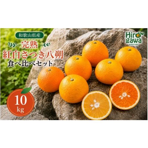 ふるさと納税 みかん・柑橘類 和歌山県 広川町 完熟 紅白 さつき 八朔 食べ比べ セット 10kg 17000円 久幸園 / 紅八朔 さつき八朔 はっさく 樹上完熟 完熟 木…