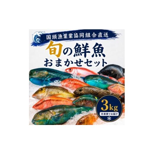ふるさと納税 旬の鮮魚等 沖縄県 国頭村 国頭漁業協同組合直送 旬の鮮魚おまかせセット 3kg(4〜8種類) 1738197