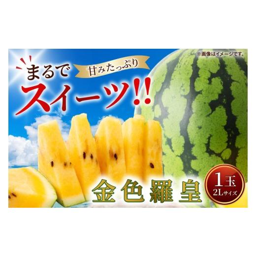 ふるさと納税 スイカ 茨城県 阿見町 すいか 金色羅皇 2L(1玉) 西瓜 高糖度 シャリ感 甘い 夏限定 旬 フルーツ すいか 人気 産地直送 ギフト 茨城県 阿見町 …
