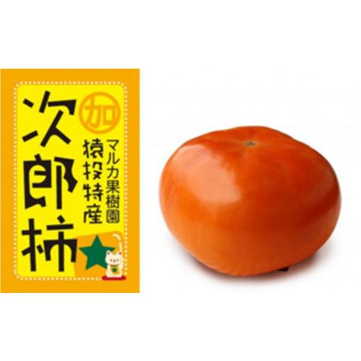 ふるさと納税 果物類 柿 愛知県 豊田市  先行受付 次郎柿　約4.4kg 2026年10月下旬以降順次発送_1