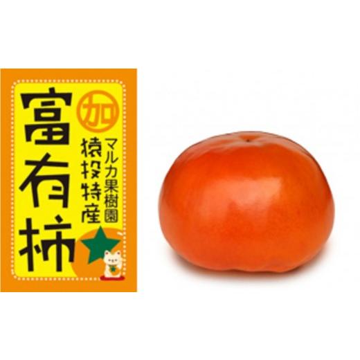 ふるさと納税 果物類 柿 愛知県 豊田市 先行受付 富有柿 約4.4kg 2026年11月上旬以降順次発送