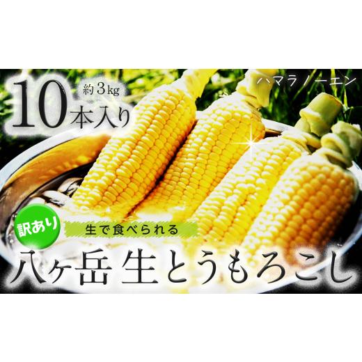 ふるさと納税 とうもろこし 長野県 原村 訳アリ 八ヶ岳 生とうもろこし はねだし 10本 約3kg 2026年7月中旬〜発送 | 訳あり とうもろこし 生 トウモロコシ 野…