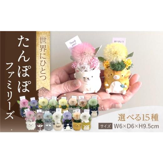 ふるさと納税 雑貨・日用品 花 長崎県 大村市 チワワ(ブラック) たんぽぽファミリーズ ペットお供え / プリザーブドフラワー アレンジメント お花ギフト …