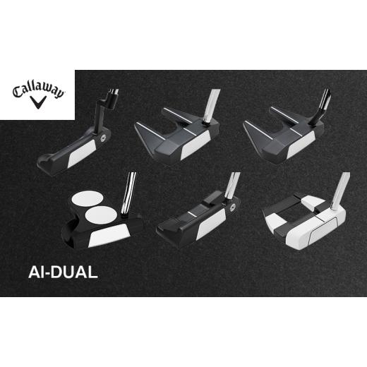 ふるさと納税 スポーツ・アウトドア 千葉県 柏市 Ai-DUAL Putter ゴルフ クラブ ゴルフクラブ キャロウェイ プレゼント 贈り物 千葉県 柏市 JAILBIRD MINI No.…