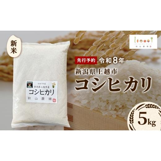 ふるさと納税 米 コシヒカリ 新潟県 上越市 先行予約 令和8年 新米 新潟県上越市産 コシヒカリ 5kg 5キロ お米 コメ こしひかり 秋山農場グリーンプロジェクト