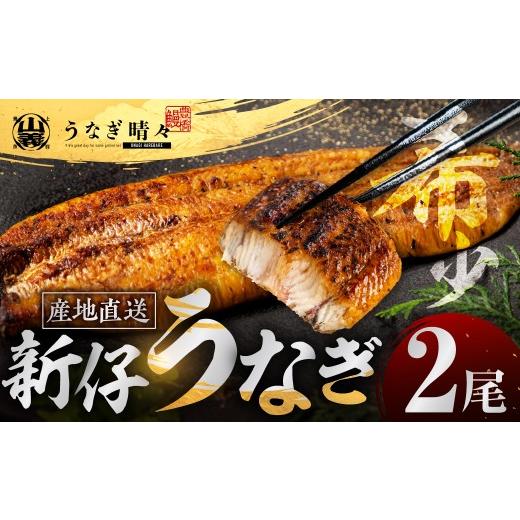 ふるさと納税 うなぎ 愛知県 豊橋市 土用の丑の日お届け 山義養魚の『うなぎ晴々』 2尾 希少 豊橋うなぎ 蒲焼 厳選 国産 新仔うなぎ 若うなぎ 鰻 簡易包装 ウ…