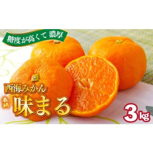 ふるさと納税 果物類 みかん 長崎県 佐世保市 早期受付 11月発送 西海みかん 「 味まる 」 3kg 産地直送 ブランドみかん 糖度 12度以上 新鮮 家庭用 温州みか…