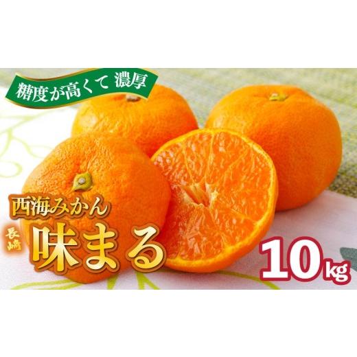 ふるさと納税 果物類 みかん 長崎県 佐世保市 早期受付 11月発送 西海みかん 「 味まる 」 10kg 産地直送 ブランドみかん 糖度 12度以上 新鮮 家庭用 温州み…