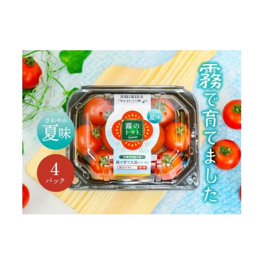 ふるさと納税 野菜類 トマト 兵庫県 西脇市 霧で育てた濃厚な味 霧のトマトSummer 200g×4パック(06-51)