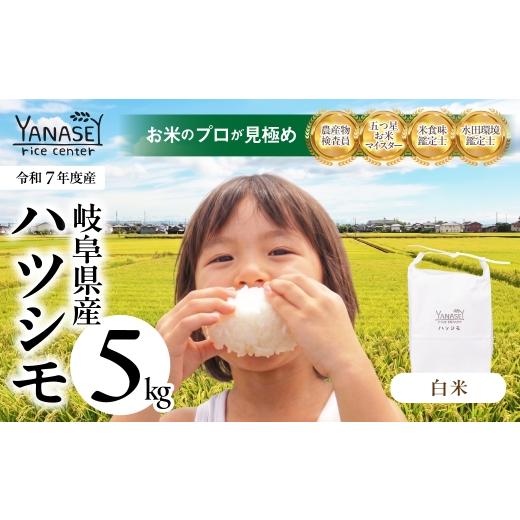 ふるさと納税 米 岐阜県 大垣市 令和7年度産 お米 ハツシモ はつしも 5kg 精米 美味しい 食味鑑定士 五つ星お米マイスター 産直 おいしい kome 米 ブランド米…