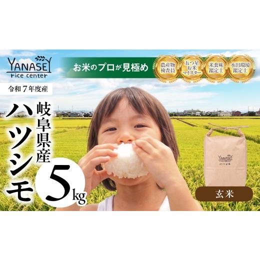 ふるさと納税 米 岐阜県 大垣市 令和7年度産 お米 ハツシモ はつしも 5kg 玄米 美味しい 食味鑑定士 五つ星お米マイスター 産直 おいしい kome 米 ブランド米…