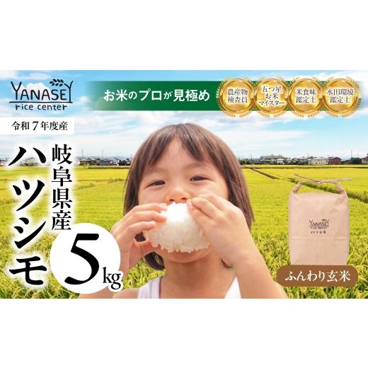 ふるさと納税 米 岐阜県 大垣市 令和7年度産 お米 ハツシモ はつしも 5kg ふんわり玄米 美味しい 食味鑑定士 五つ星お米マイスター 産直 おいしい kome 米 ブ…