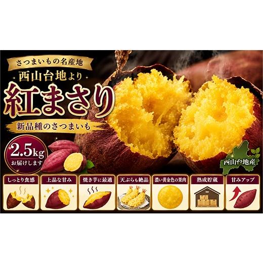 ふるさと納税 野菜類 サツマイモ 高知県 室戸市 先行予約 数量限定 掘りたて あま〜い 新さつまいも 紅まさり 2.5kg 芋 さつま芋 野菜 サツマイモ 焼き芋 甘…
