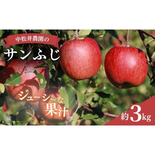 ふるさと納税 りんご 長野県 小諸市 中松井農園のサンふじ 約3kg 長野 小諸 信州 リンゴ 林檎 果物類 りんご  