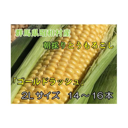 ふるさと納税 とうもろこし 群馬県 昭和村 昭和村産朝採りとうもろこし「ゴールドラッシュ」14〜16本