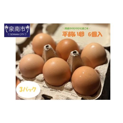 ふるさと納税 卵(鶏、烏骨鶏等) 大阪府 泉南市 とまり木ファームの平飼い卵(6個入×3パック) 124D-001