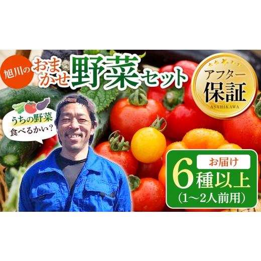 ふるさと納税 セット・詰合せ 北海道 旭川市 先行予約 旭川のおまかせ野菜セット(6種以上)(2026年7月下旬発送開始) おまかせセット 野菜セット 野菜詰め合わ…