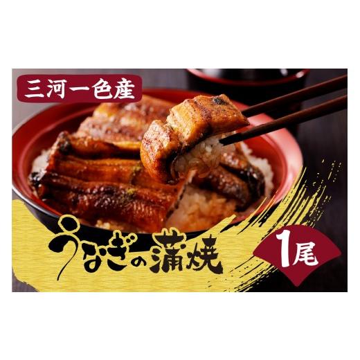 ふるさと納税 うなぎ 愛知県 高浜市 土用の丑の日までにお届け 三河一色産うなぎの蒲焼1尾_47-179-1-d