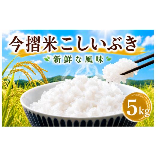 ふるさと納税 米 新潟県 新発田市 今摺米 こしいぶき 5kg 令和7年産 JA ブランド米 米 お米 米5kg 精米 いまずりまい ごはん こめ おむすび おにぎり 弁当 お…