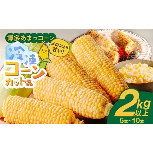 ふるさと納税 とうもろこし 福岡県 久留米市 冷凍便 旬の時期に冷凍したSDGs米糠堆肥で作った博多あまっコーンカット品 2kg以上(5〜10本) _ 博多あまっコー…