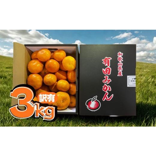 ふるさと納税 果物類 みかん 和歌山県 有田川町 11月発送 訳あり 有田みかん 約3kg 家庭用 約3kg:11月発送 5,500円