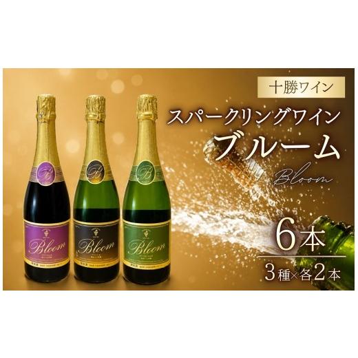 ふるさと納税 ワイン スパークリングワイン 北海道 池田町 瓶内二次発酵 十勝ワイン スパークリングワイン 辛口 3種×2本 計6本 泡 本格製法 ギフト お祝い …