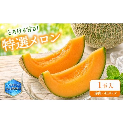 ふるさと納税 メロン メロン赤肉 滋賀県 竜王町 特選 メロン 赤肉 1玉 4L 数量限定 果実 新鮮 くだもの めろん 品種おまかせ 赤肉 ホノカ レノン 赤肉メロン …