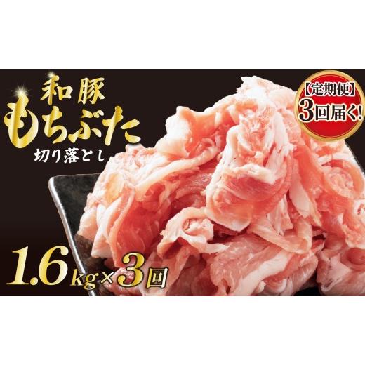 ふるさと納税 豚肉 新潟県 新発田市 定期便 豚肉 切り落とし 和豚 もちぶた 小間切れ 1.6kg ×3回 ブランド豚 和豚もちぶた ブランド 美味しい豚 豚肉 肉 に…