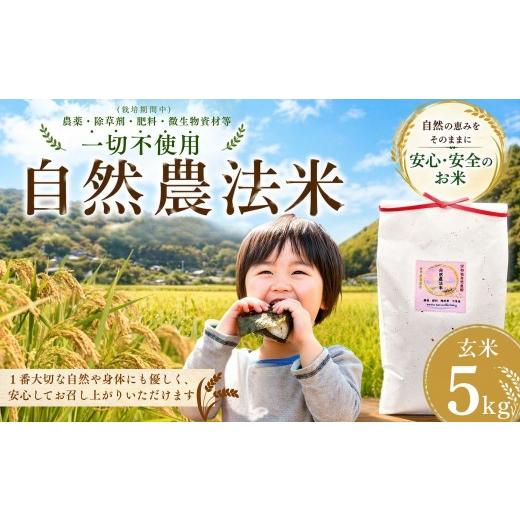 ふるさと納税 玄米 大分県 豊後高田市 大分県産 自然農法 玄米 5kg | お米 うるち米 国産 九州 大分県 豊後高田市 玄米
