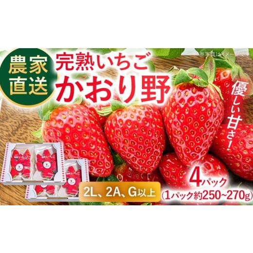 ふるさと納税 いちご 福岡県 古賀市 農家直送完熟いちご かおり野 期間限定 いちご 苺 4パック 福岡県 完熟 フルーツ 果物 予約 農家直送 産地直送 ギフト 贈…