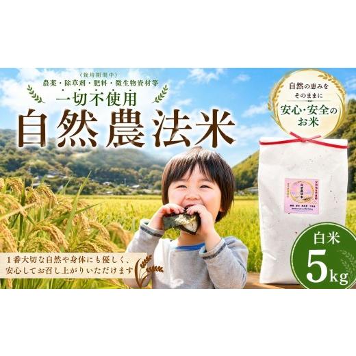 ふるさと納税 米 大分県 豊後高田市 大分県産 自然農法 白米 5kg | お米 うるち米 国産 九州 大分県 豊後高田市 白米