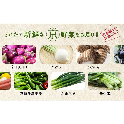 ふるさと納税 セット・詰合せ 京都府 亀岡市  7月発送 野菜セット 4~6種類 旬の京野菜 レギュラーコース 詰め合わせ 季節 旬 野菜 やさい 野菜便 国産 国産野…_2