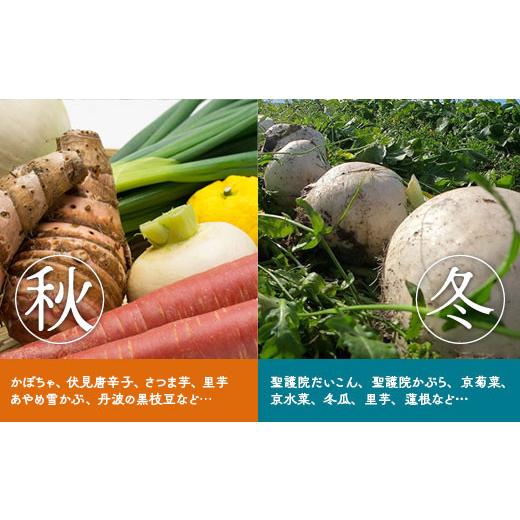 ふるさと納税 セット・詰合せ 京都府 亀岡市  7月発送 野菜セット 4~6種類 旬の京野菜 レギュラーコース 詰め合わせ 季節 旬 野菜 やさい 野菜便 国産 国産野…_4