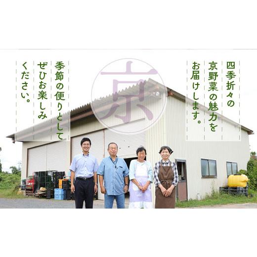 ふるさと納税 セット・詰合せ 京都府 亀岡市  7月発送 野菜セット 4~6種類 旬の京野菜 レギュラーコース 詰め合わせ 季節 旬 野菜 やさい 野菜便 国産 国産野…_7