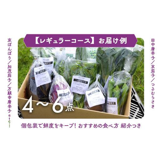 ふるさと納税 セット・詰合せ 京都府 亀岡市  7月発送 野菜セット 4~6種類 旬の京野菜 レギュラーコース 詰め合わせ 季節 旬 野菜 やさい 野菜便 国産 国産野…_8