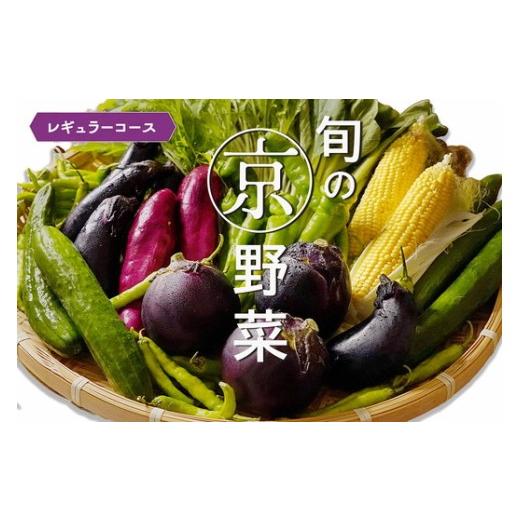 ふるさと納税 セット・詰合せ 京都府 亀岡市 9月発送 野菜セット 4~6種類 旬の京野菜 レギュラーコース 詰め合わせ 季節 旬 野菜 やさい 野菜便 国産 国産野…