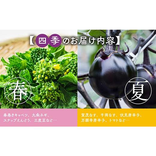ふるさと納税 セット・詰合せ 京都府 亀岡市  9月発送 野菜セット 4~6種類 旬の京野菜 レギュラーコース 詰め合わせ 季節 旬 野菜 やさい 野菜便 国産 国産野…_3