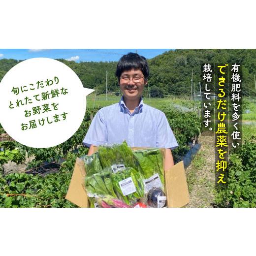 ふるさと納税 セット・詰合せ 京都府 亀岡市  9月発送 野菜セット 4~6種類 旬の京野菜 レギュラーコース 詰め合わせ 季節 旬 野菜 やさい 野菜便 国産 国産野…_5