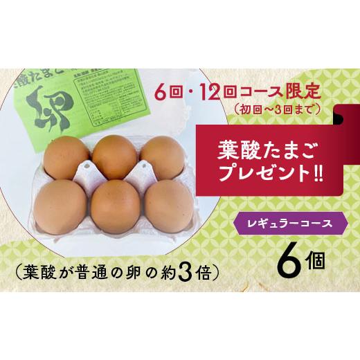 ふるさと納税 セット・詰合せ 京都府 亀岡市  8月発送 野菜定期便 12回 葉酸たまご付 4~6種類 旬の京野菜 レギュラーコース 詰め合わせ 季節 旬 野菜 やさい …_5