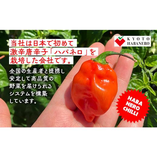 ふるさと納税 セット・詰合せ 京都府 亀岡市  8月発送 野菜定期便 12回 葉酸たまご付 4~6種類 旬の京野菜 レギュラーコース 詰め合わせ 季節 旬 野菜 やさい …_7