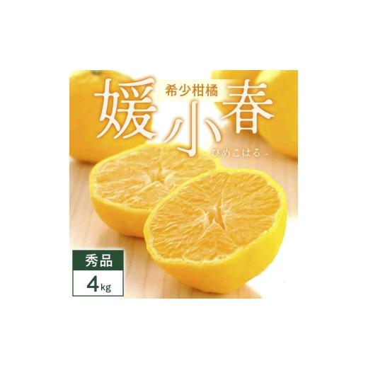 ふるさと納税 みかん・柑橘類 愛媛県 八幡浜市 先行受付 媛小春 4kg 愛媛県 八幡浜市 西宇和地区 希少な幻の柑橘 黄色いみかん E25-345 1715608 YW