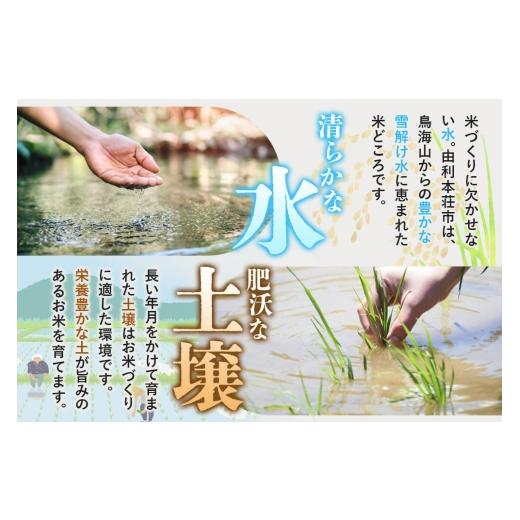 ふるさと納税 米 秋田県 由利本荘市 《令和8年産 新米受付》《定期便4ヶ月》 白米 サキホコレ2kg・土づくり実証米あきたこまち2kg (計4kg) ×4回 計16kg 精米 …_5