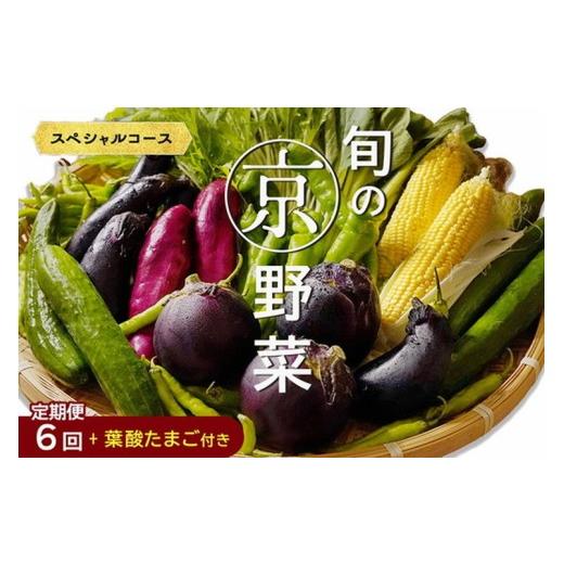 ふるさと納税 セット・詰合せ 京都府 亀岡市 9月発送 野菜定期便 6回 葉酸たまご付 7~10種類 旬の京野菜 スペシャルコース 詰め合わせ 季節 旬 野菜 やさい …