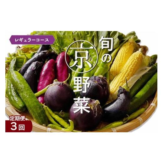 ふるさと納税 セット・詰合せ 京都府 亀岡市 9月発送 野菜定期便 3回 4~6種類 旬の京野菜 レギュラーコース 詰め合わせ 季節 旬 野菜 やさい 野菜便 国産 国…