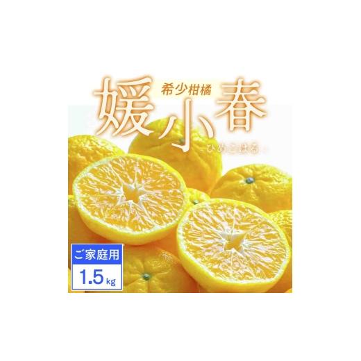 ふるさと納税 みかん・柑橘類 愛媛県 八幡浜市 先行受付 ご家庭用 媛小春 1.5kg みかん 愛媛県八幡浜市 西宇和地区 希少な幻の柑橘 C25-358 1715667 YW